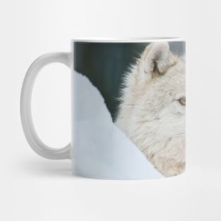 Arctic Wolf Mug